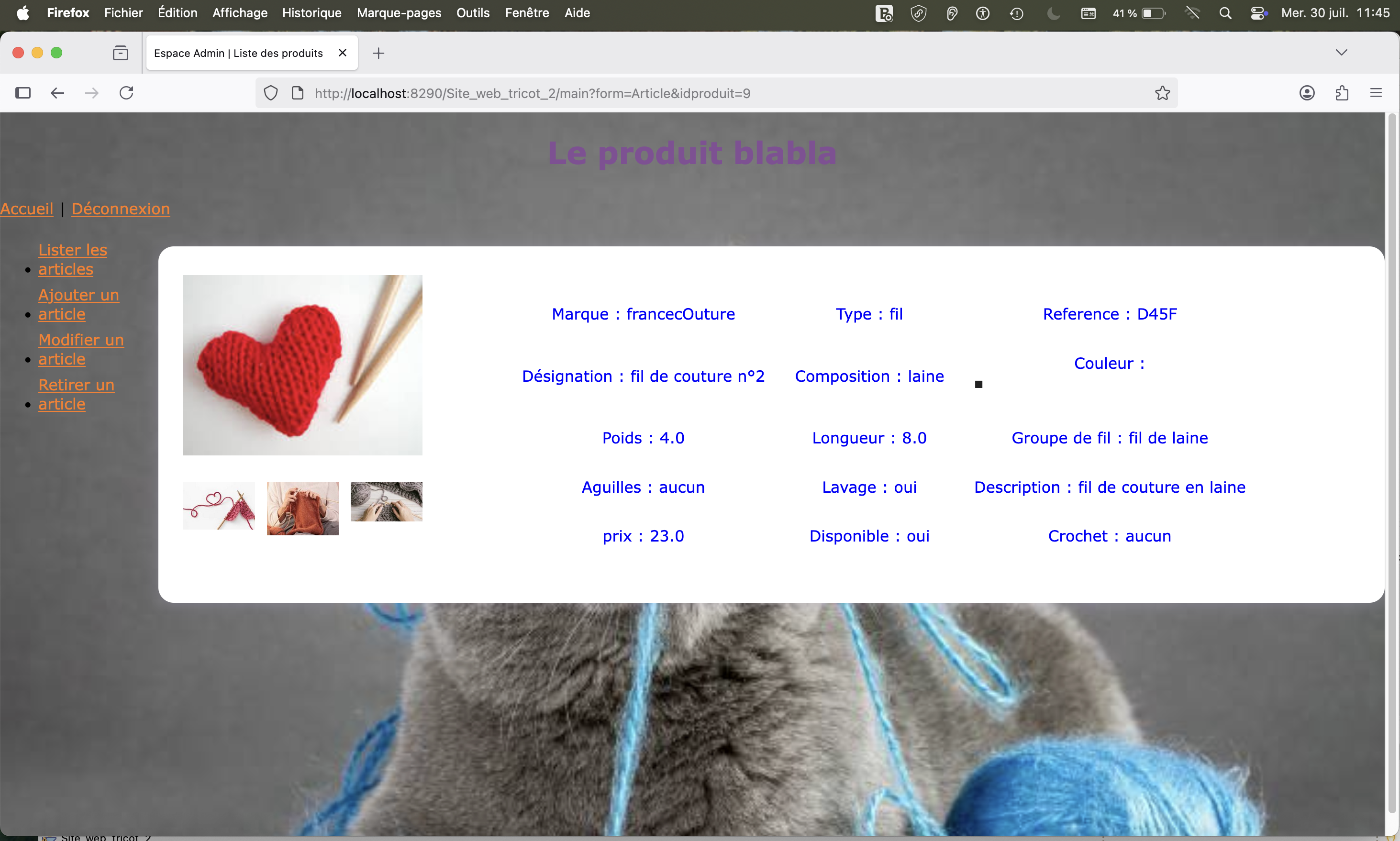 Projet Site Web Dynamique