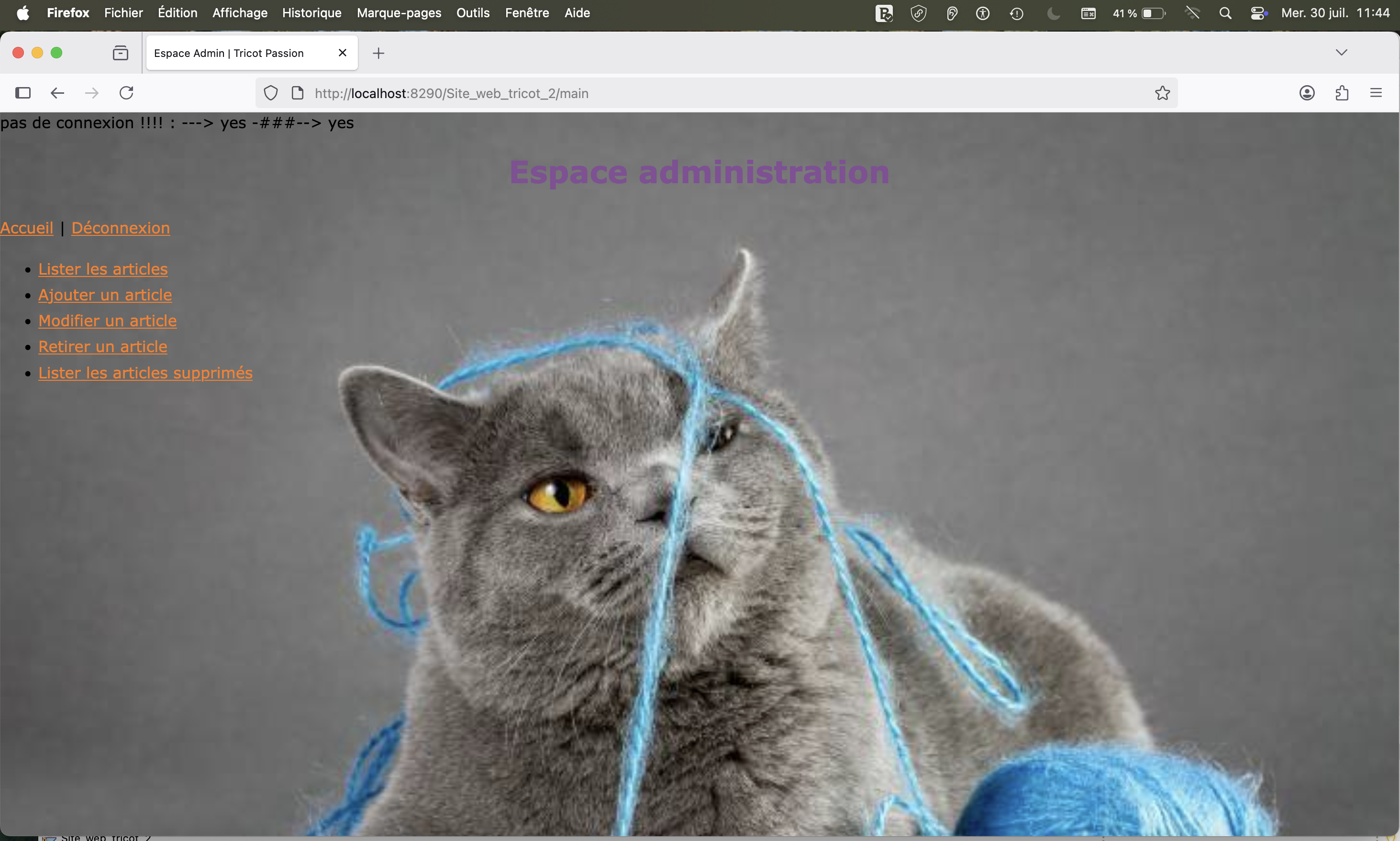 Projet Site Web Dynamique
